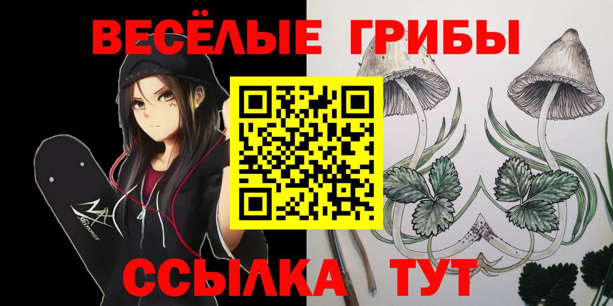 Псилоцибиновые грибы мицелий Рязань