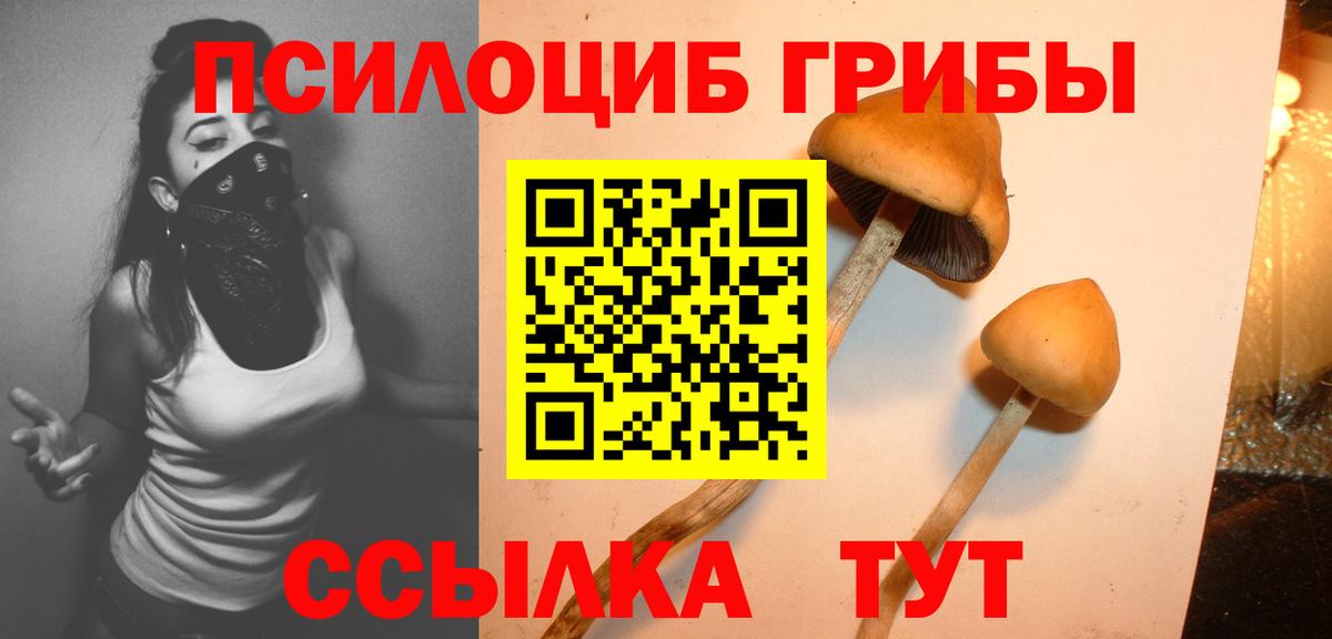 Галлюциногенные грибы MAGIC MUSHROOMS  Вход с VPN  Рязань 